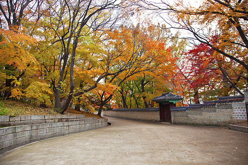 Seoul-Han-Quoc-Korea